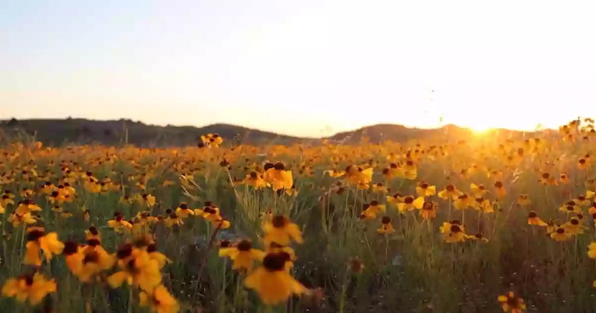 Wichita Mountains National Wildlife Refuge