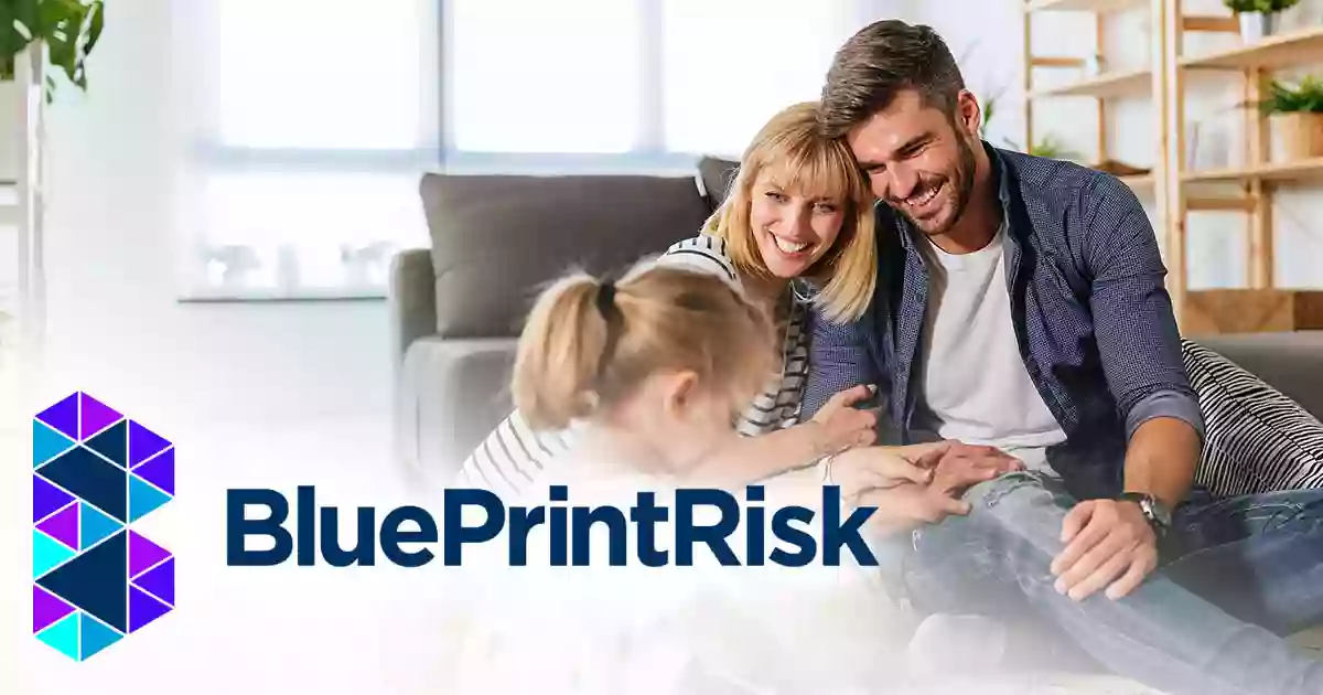 BluePrint Risk