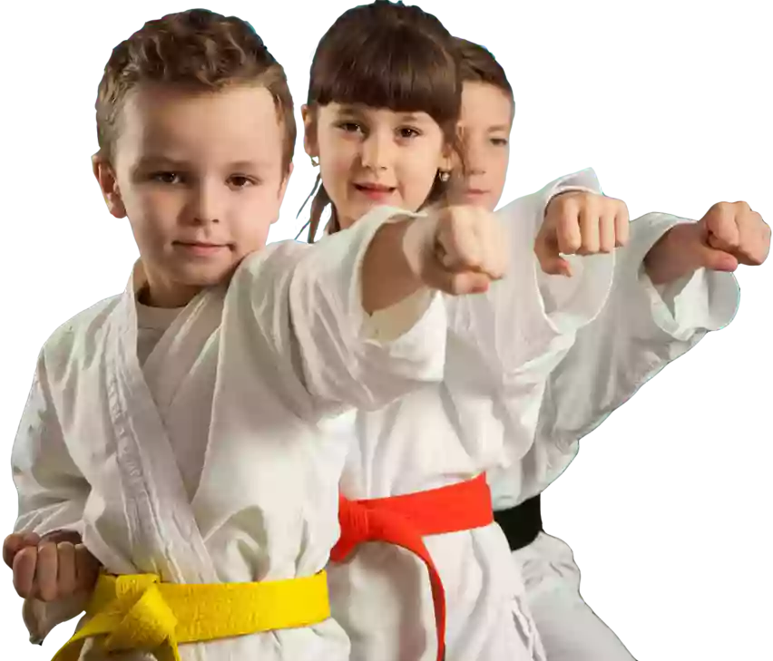 Vision Martial Arts Academy