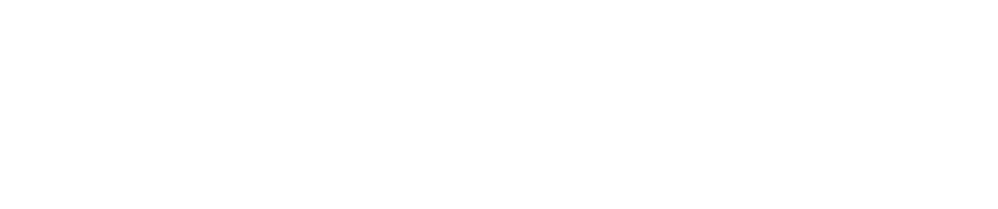 Next Level Physical Therapy & Wellness