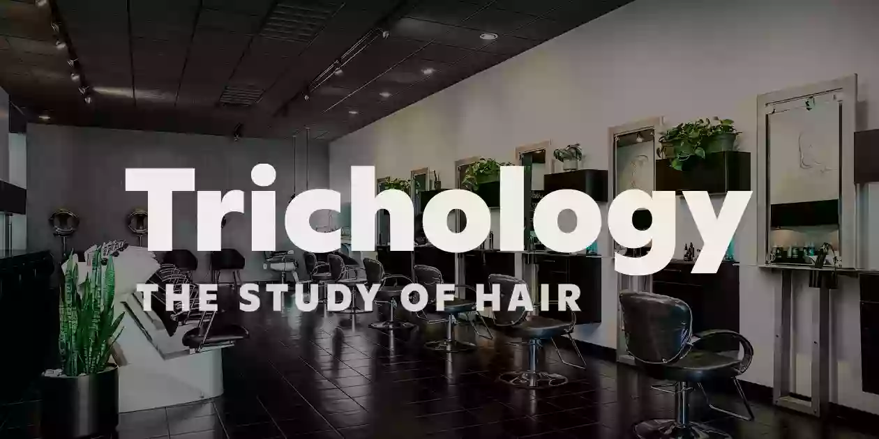 Trichology Salon