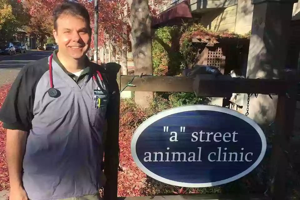 A Street Animal Clinic