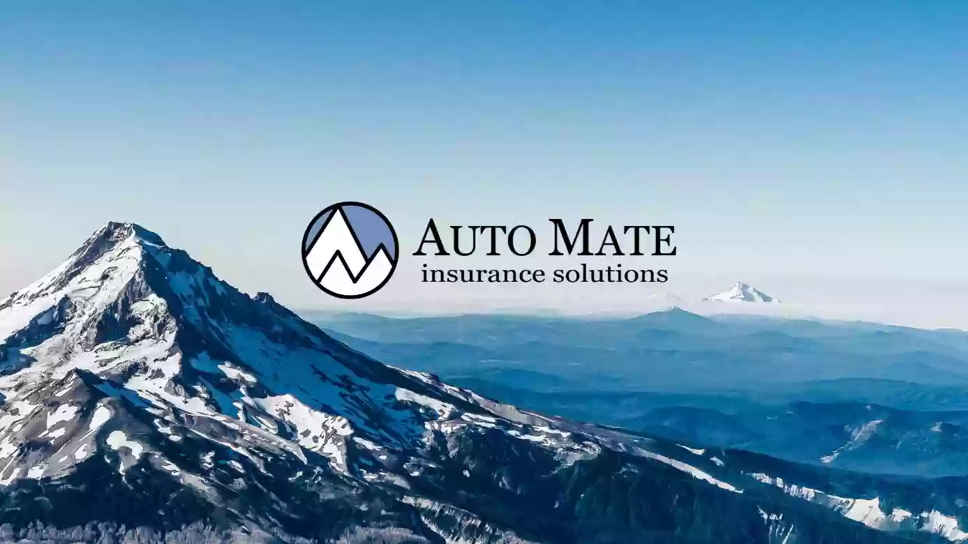 Auto Mate Insurance