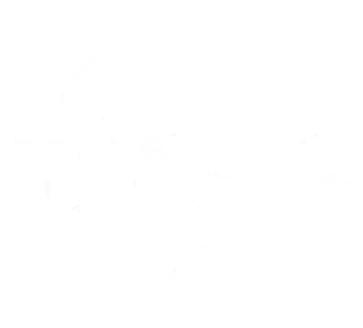 Dealers Supply Company
