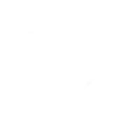 Native Wellness Institute