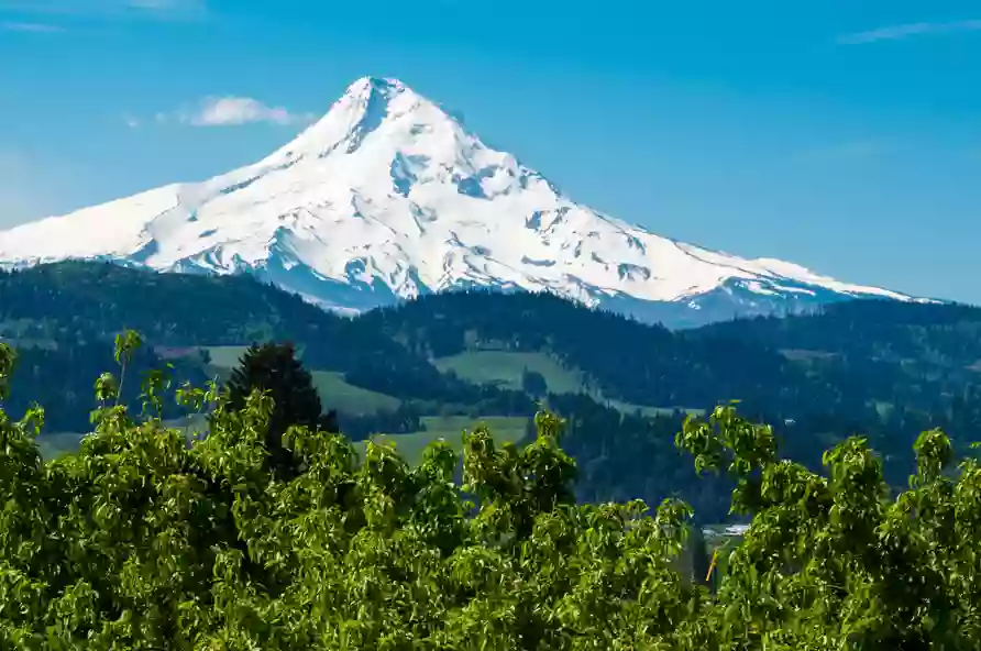 Pacific NW Federal Credit Union - Hood River Branch & ATM