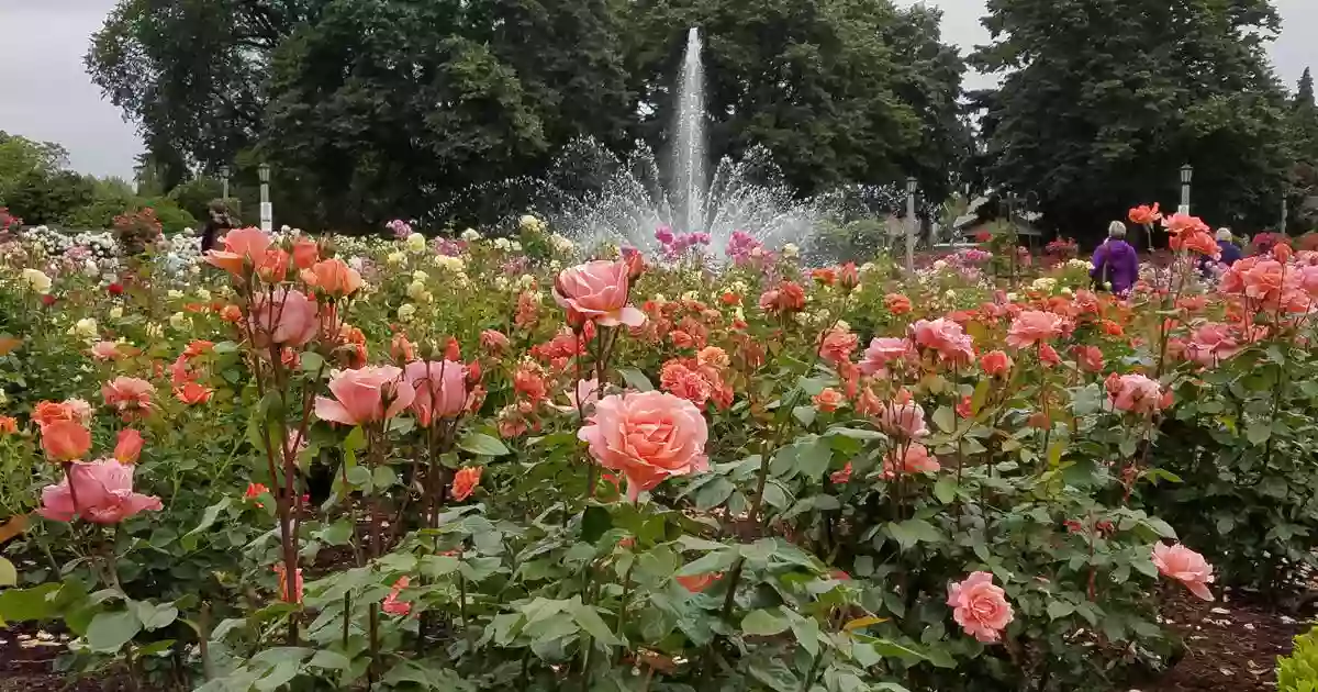 Peninsula Park Rose Garden