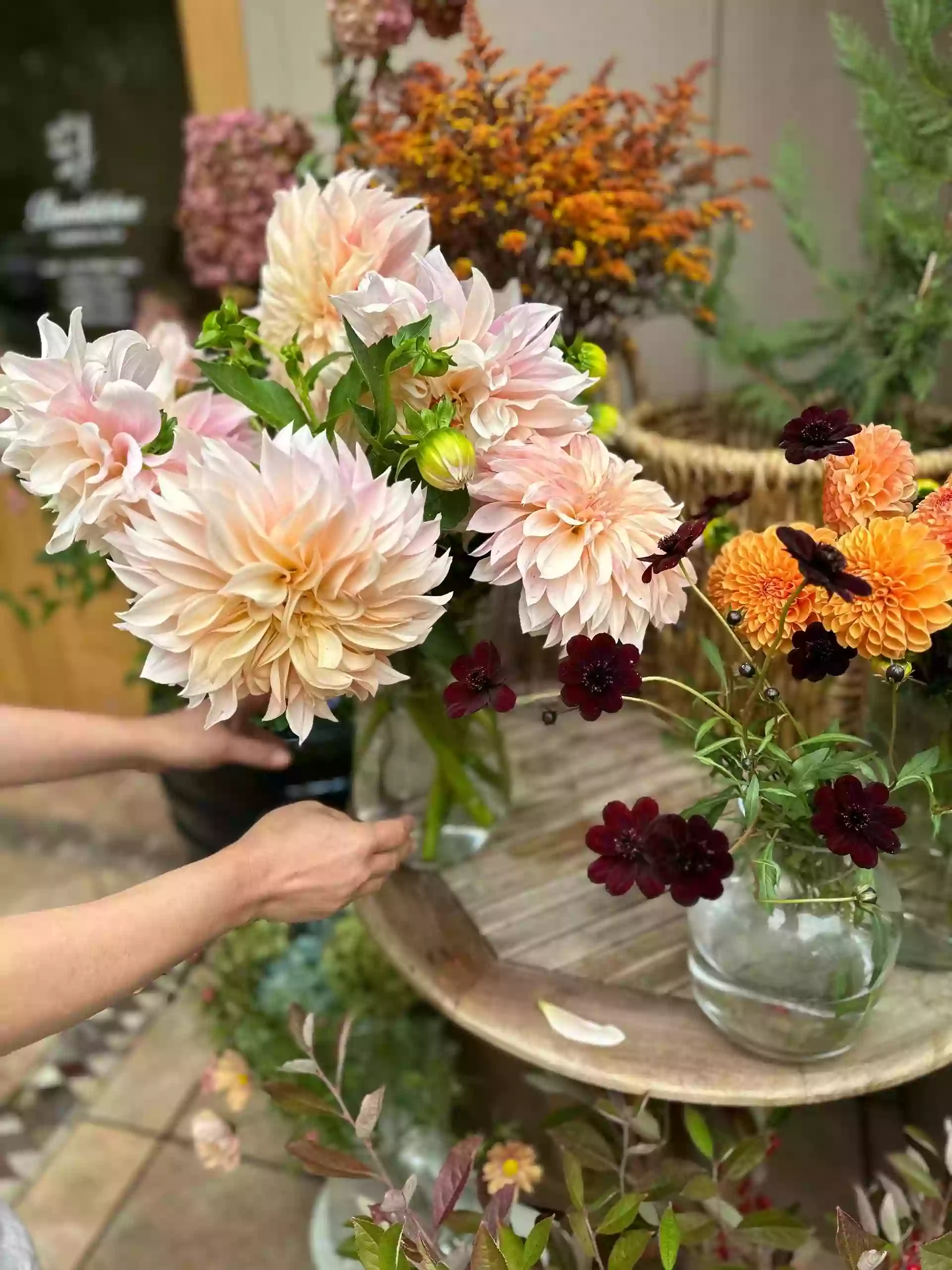 Bumblebee Flowers & Tea