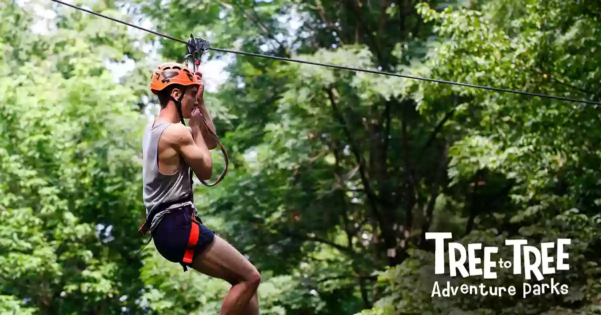 Tree to Tree Adventure Park