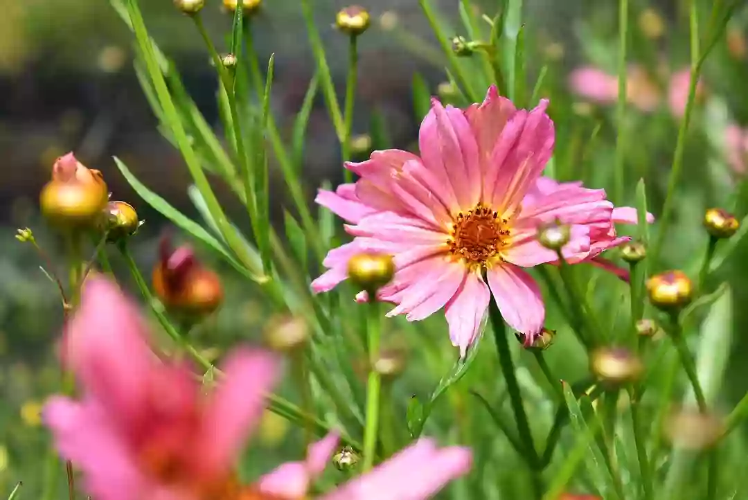 Terra Gardens Nursery & Bark