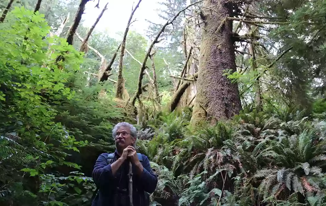 Pittock Bird Sanctuary