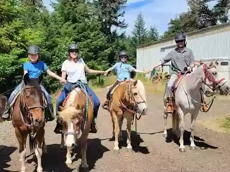 Rice's Horses