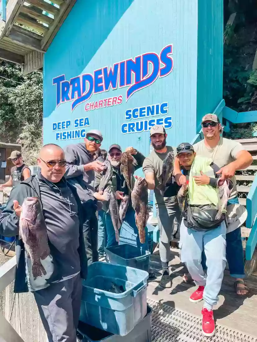 Tradewinds Charters - Whale Watching & Fishing - Oregon