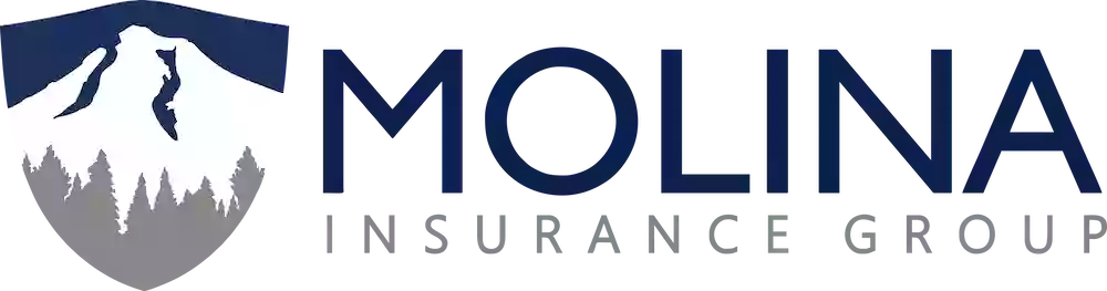 Molina Insurance Group