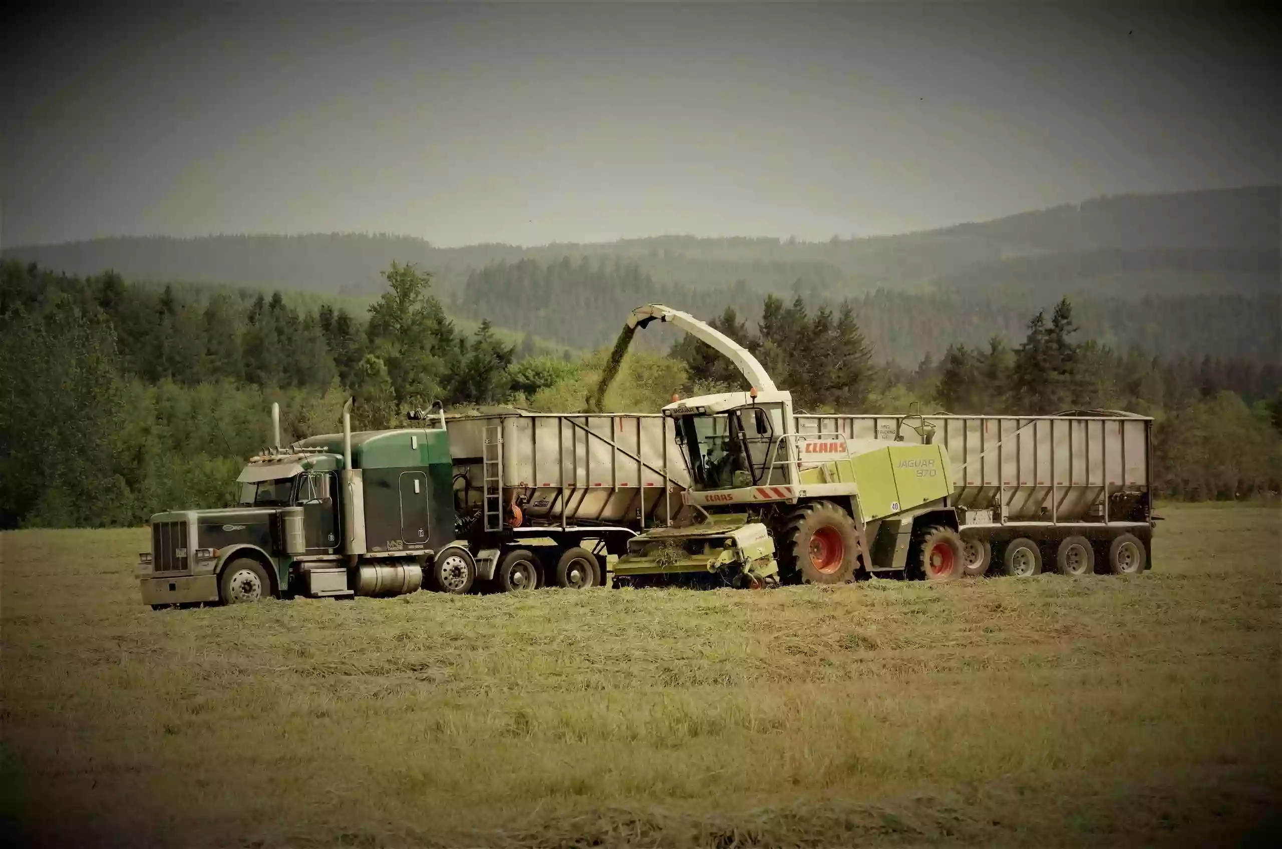 Gourley Farms MNG Trucking