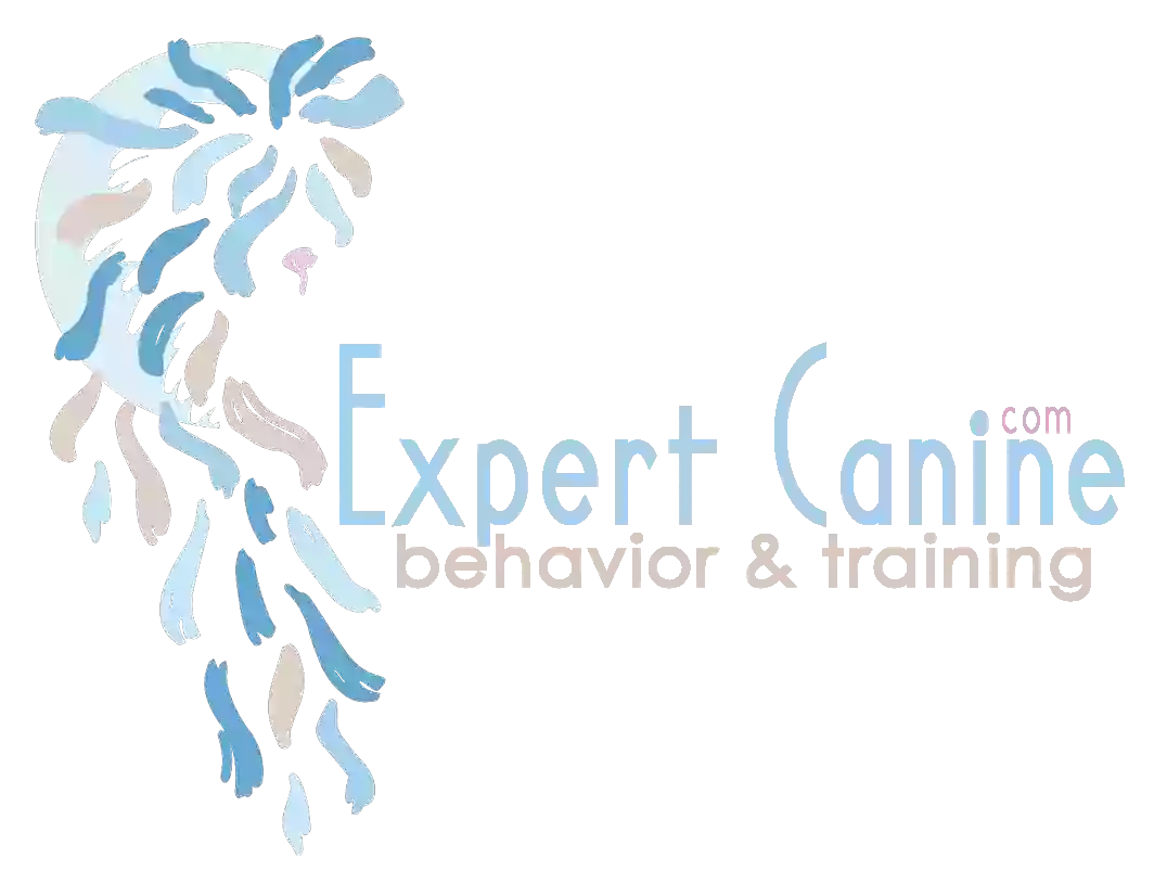 Expert Canine: Behavior & Training