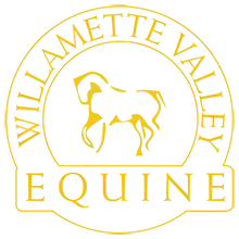Willamette Valley Equine Veterinary Services