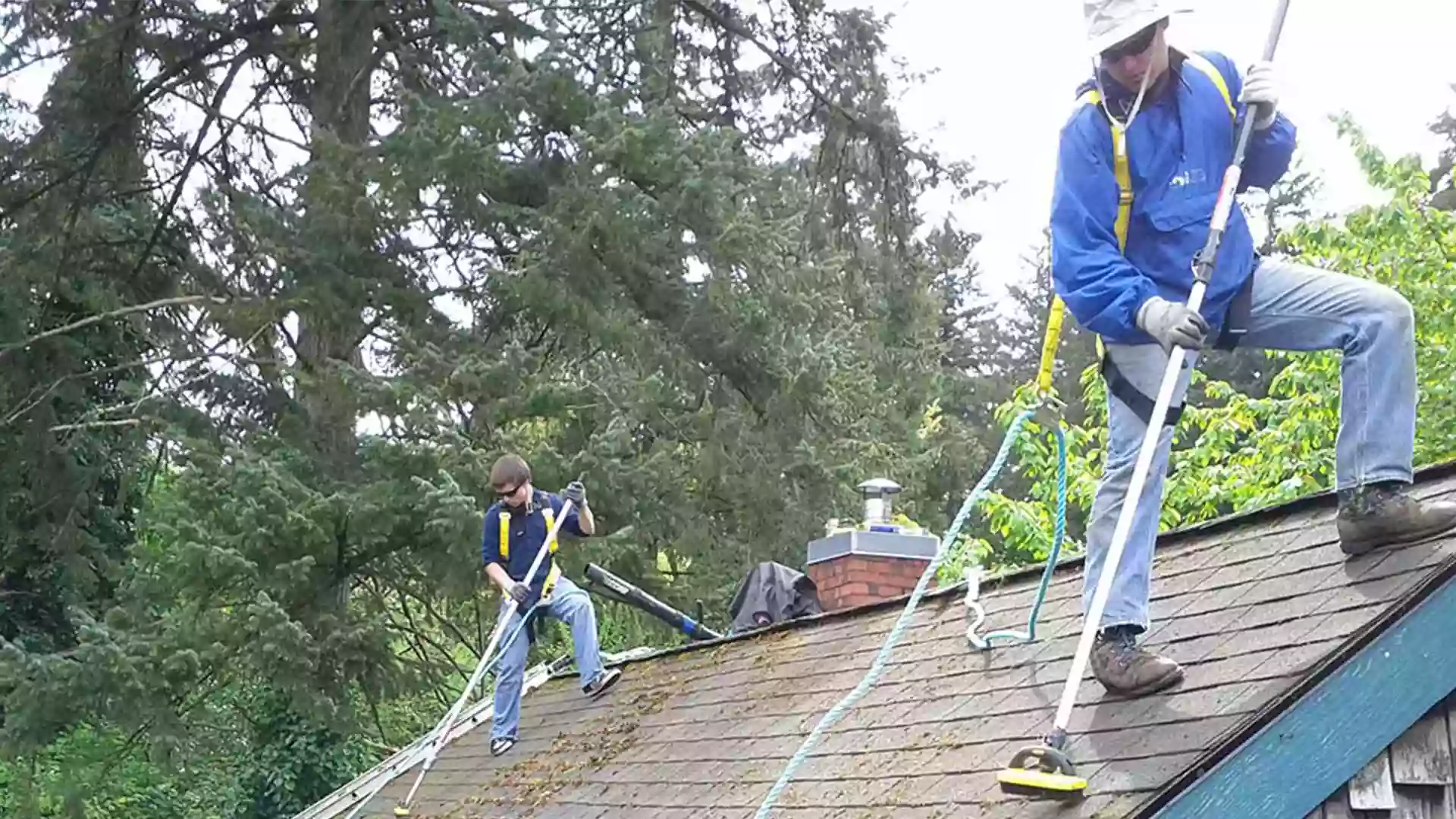 Referred Roof Cleaning & Exteriors