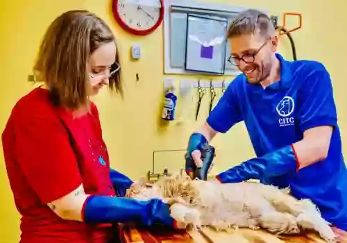 Cats in the City - Tandem Cat Grooming