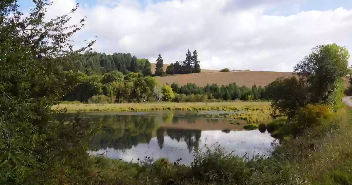 Killin Wetlands Nature Park