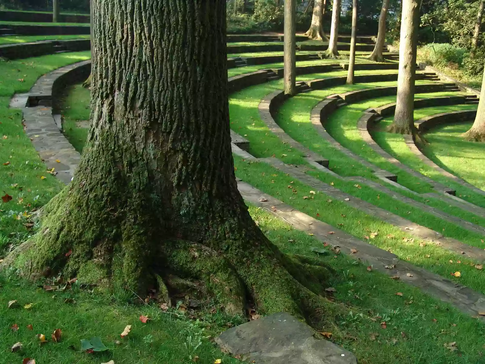 Scott Outdoor Amphitheater