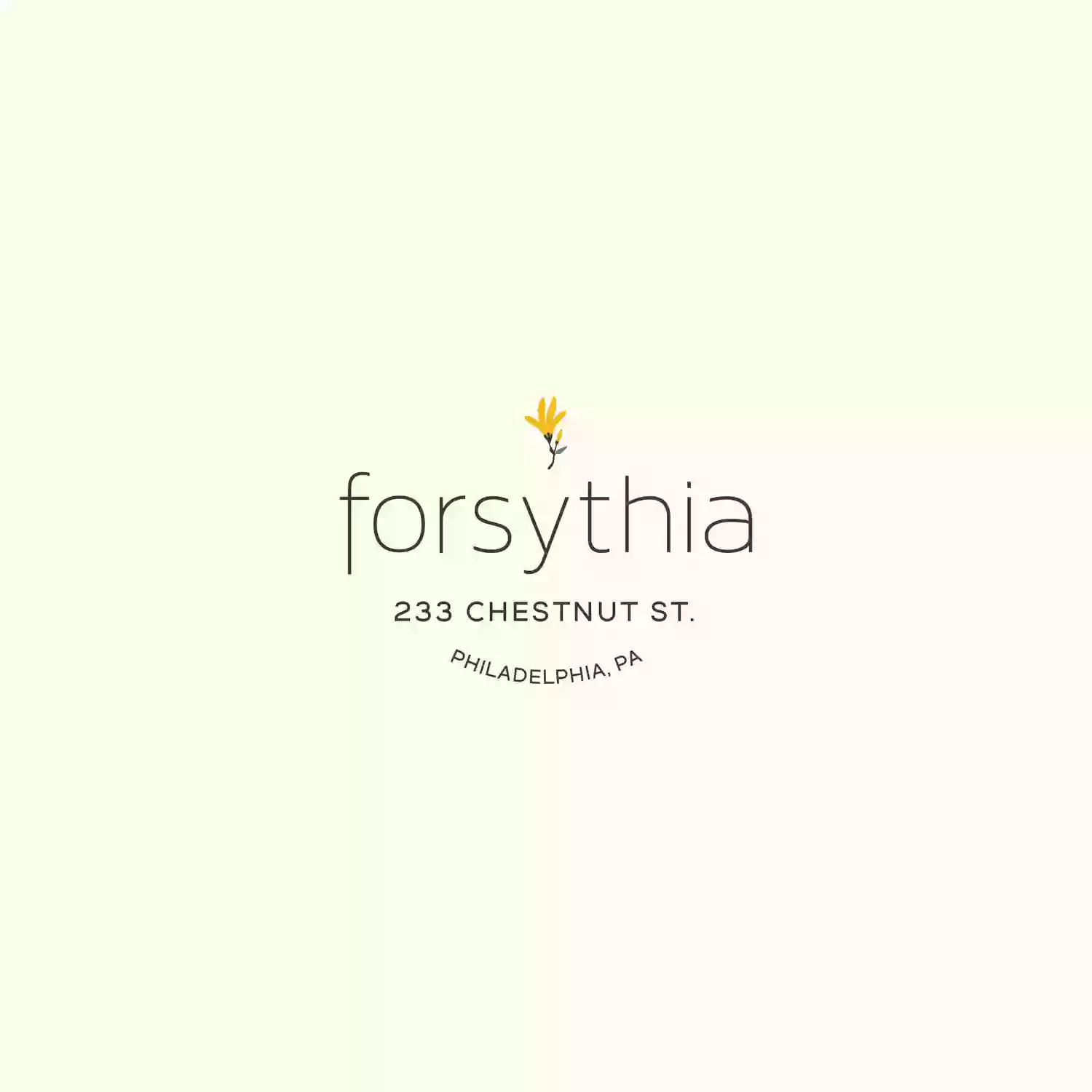 Forsythia