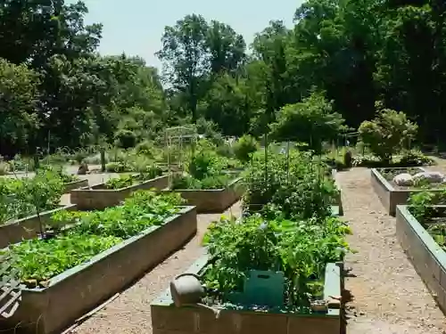 The Farm at Awbury Arboretum