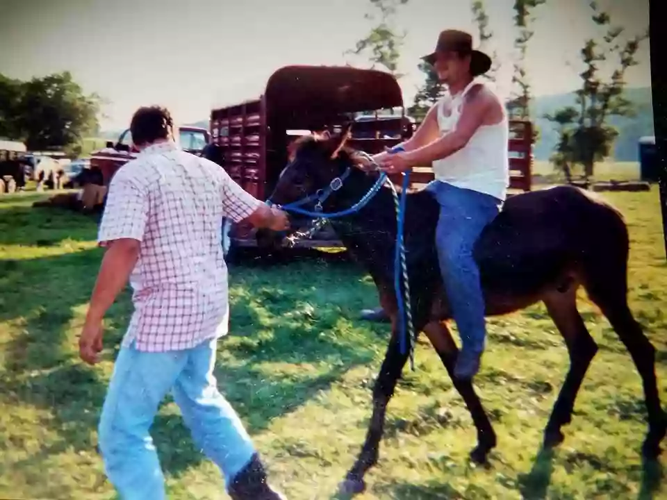 Greenridge Horse Ranch