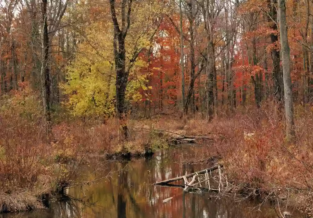 Natural Lands' Crow's Nest Preserve