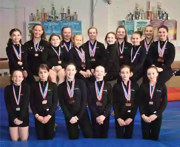 Willow Tree Gymnastics - Latrobe