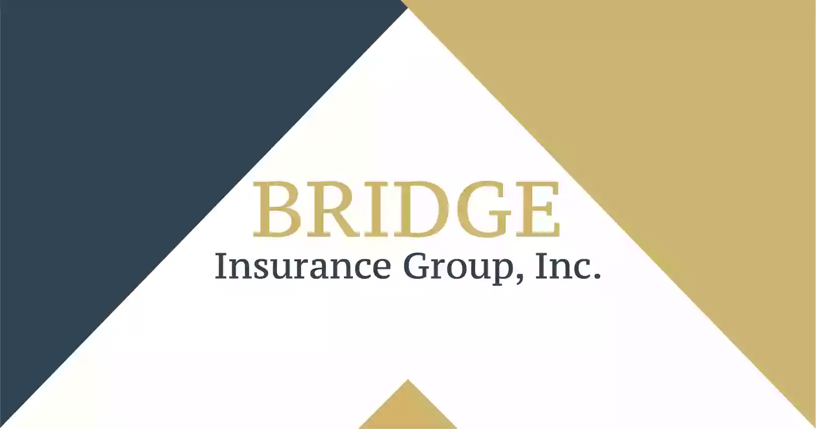 Bridge Insurance Group, Inc.