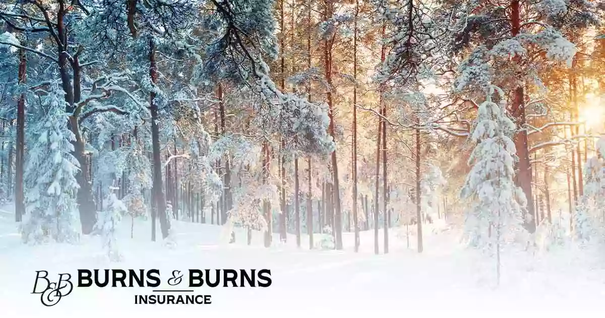 Burns & Burns Insurance