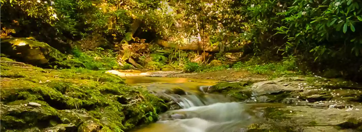 Tucquan Glen & Pyfer Nature Preserves