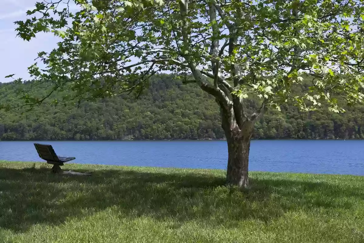 Preachers Camp Boat Launch, Beltzville State Park