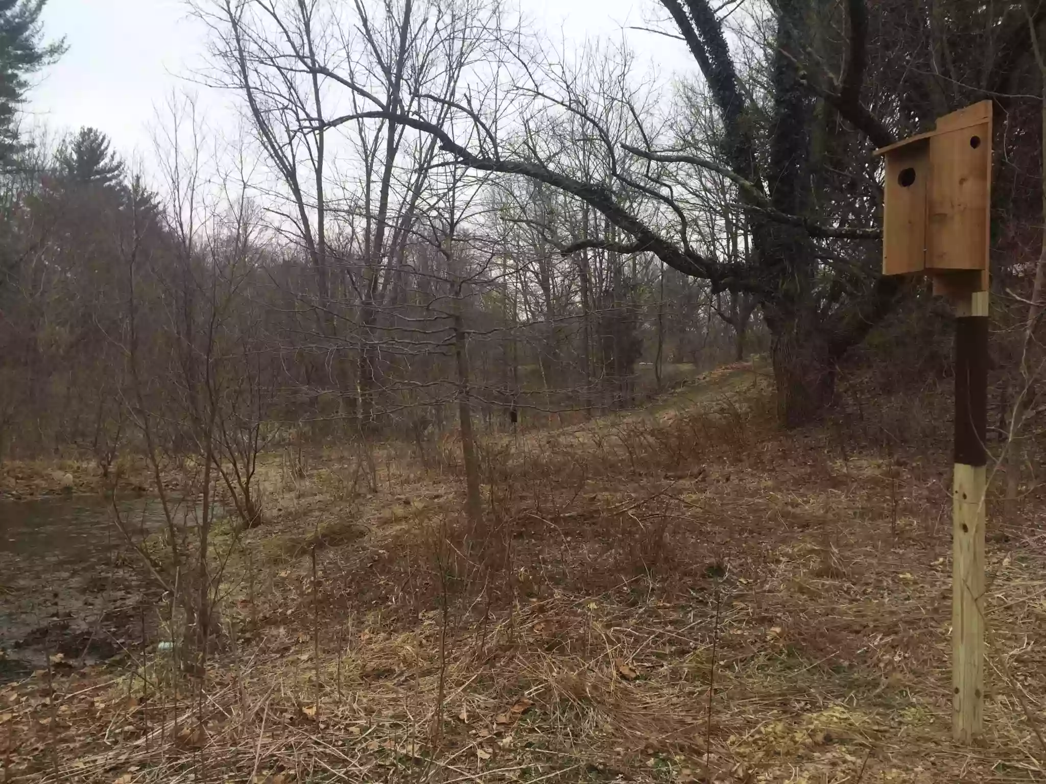 Natural Lands' Hildacy Preserve