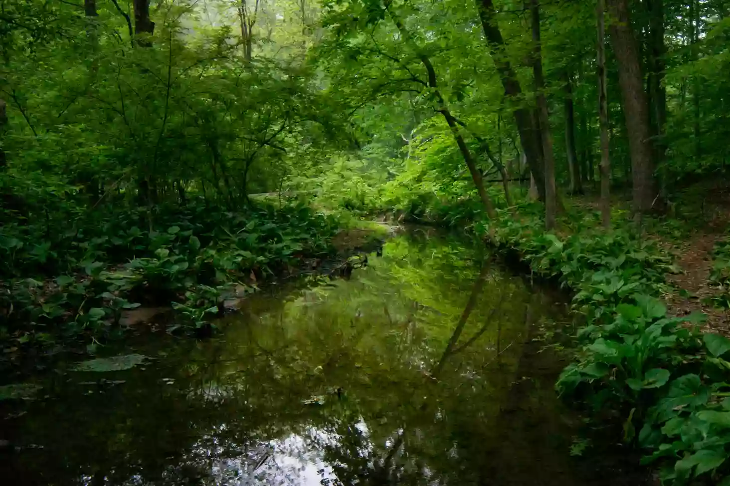 Heritage Conservancy Fuller Preserve Jere Knight Nature Trail