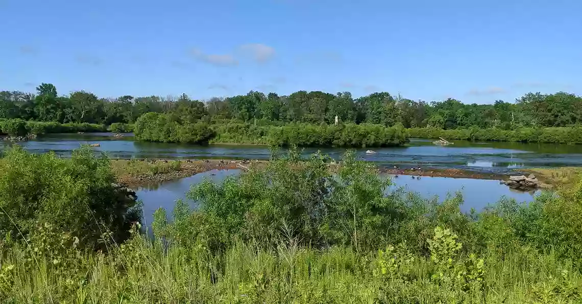 Wissahickon Waterfowl Preserve