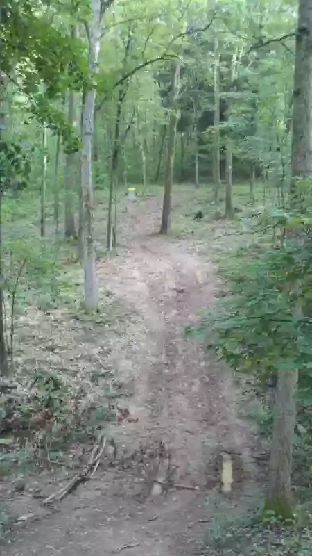 Linbrook Disc Golf Course