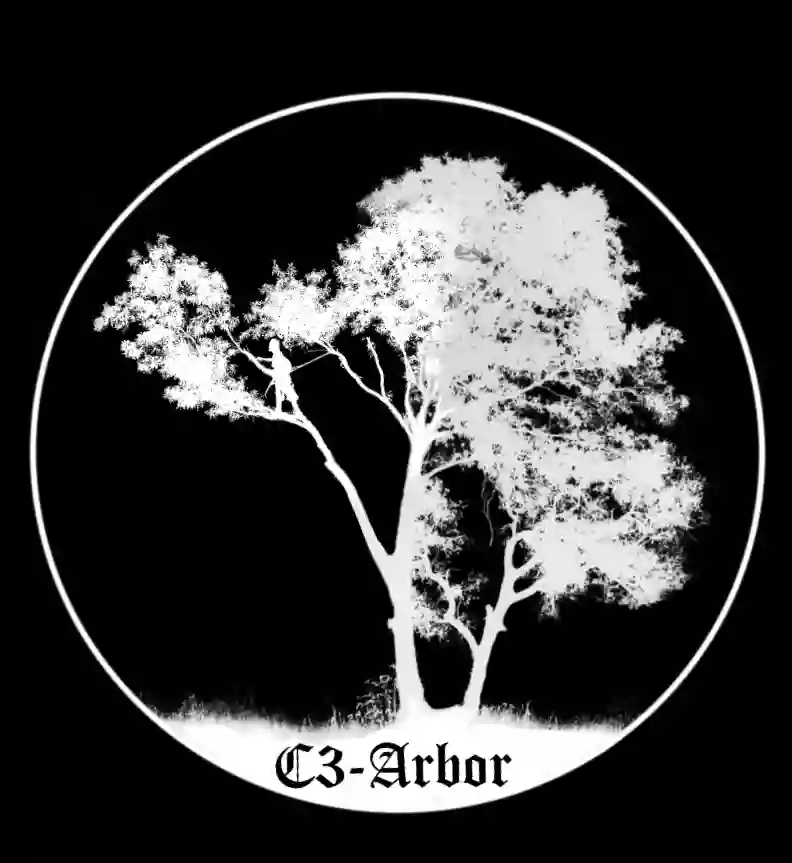 C3-Arbor Tree Service