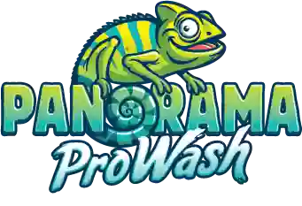 Panorama Pro Wash