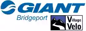 Giant of Bridgeport - Village Velo