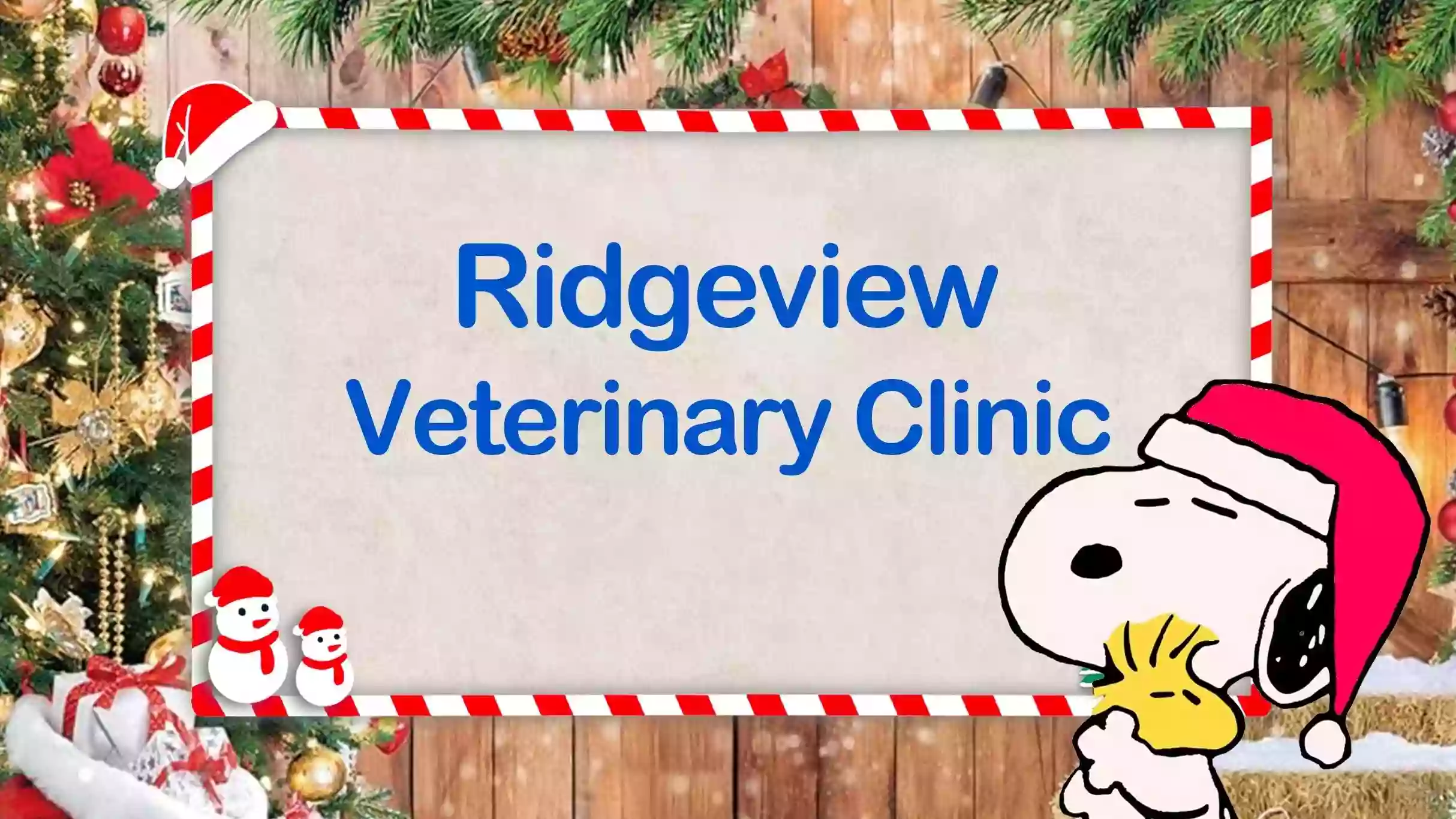 Ridgeview Veterinary Clinic