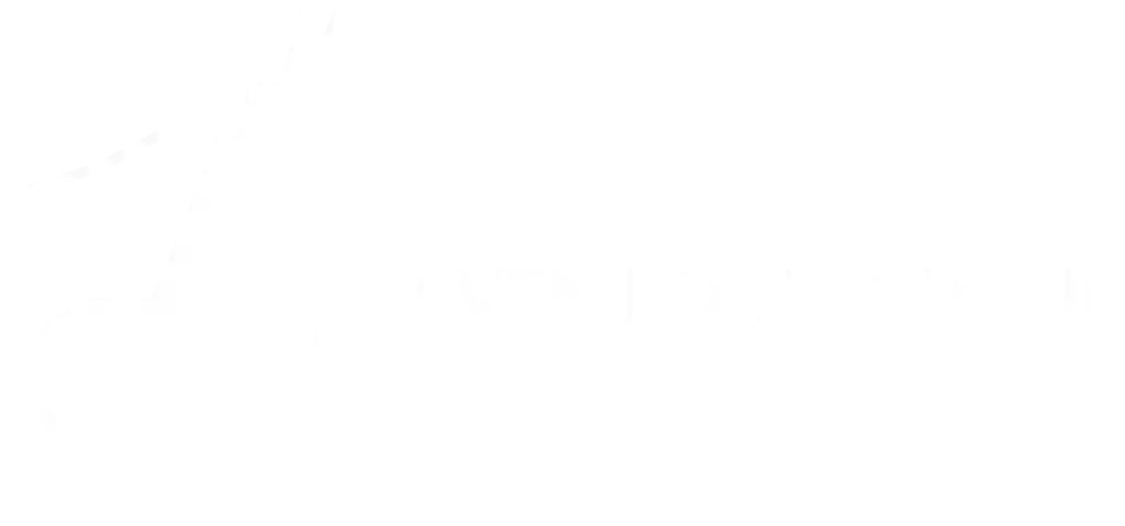 Raven Point Group