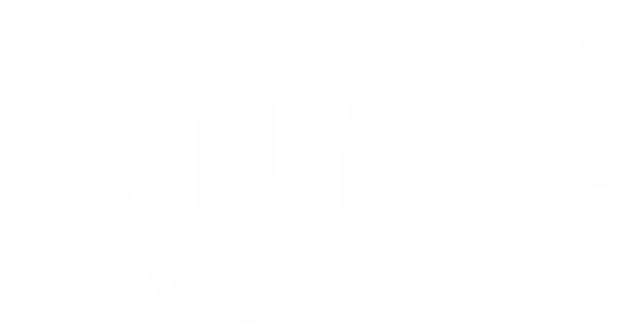 City Cat Vets