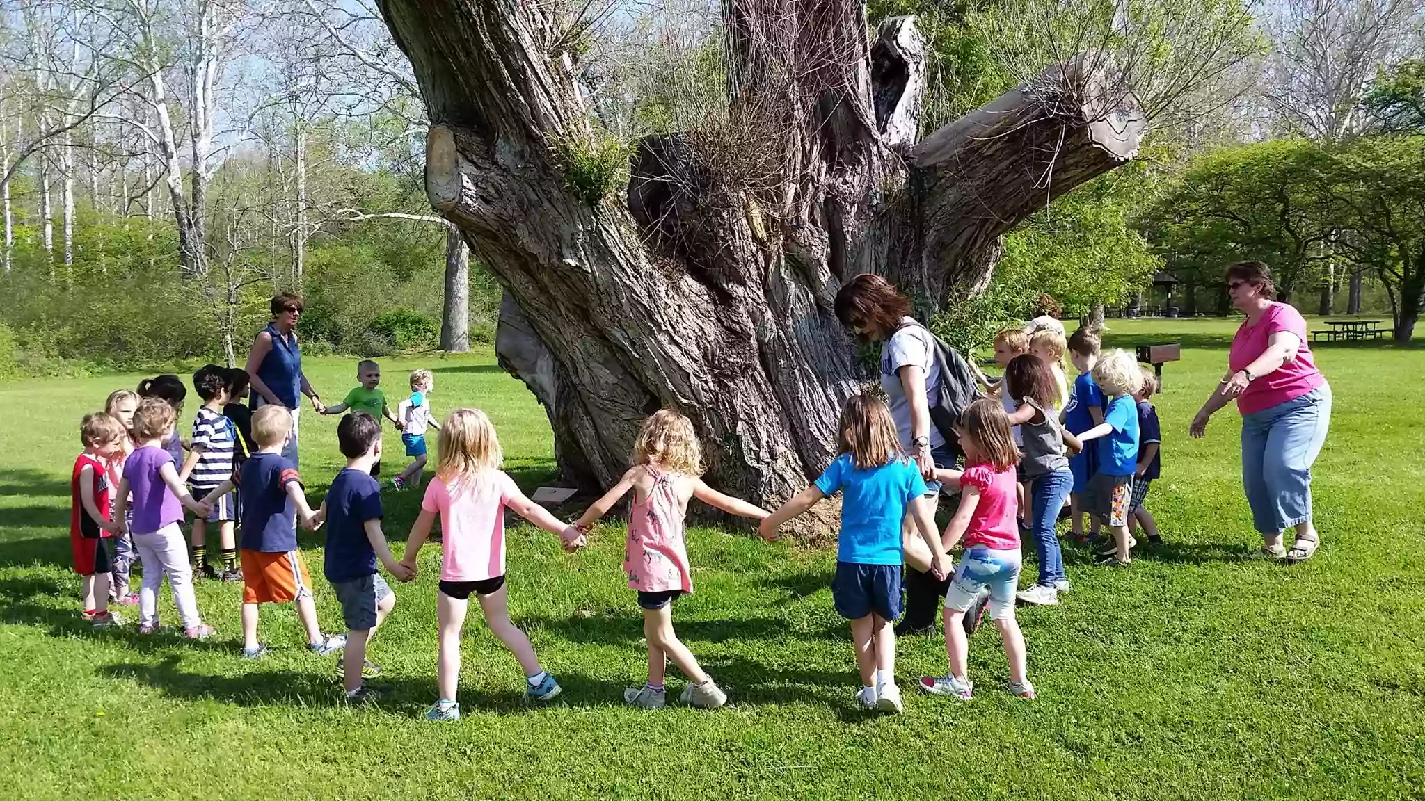 Meadville Cooperative Preschool