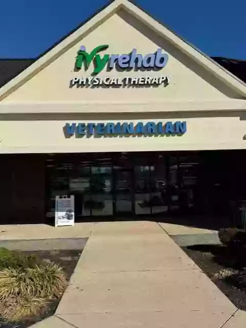 Ivy Rehab Physical Therapy