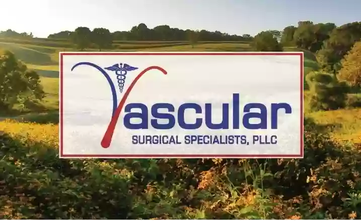 Vascular Surgical Specialists