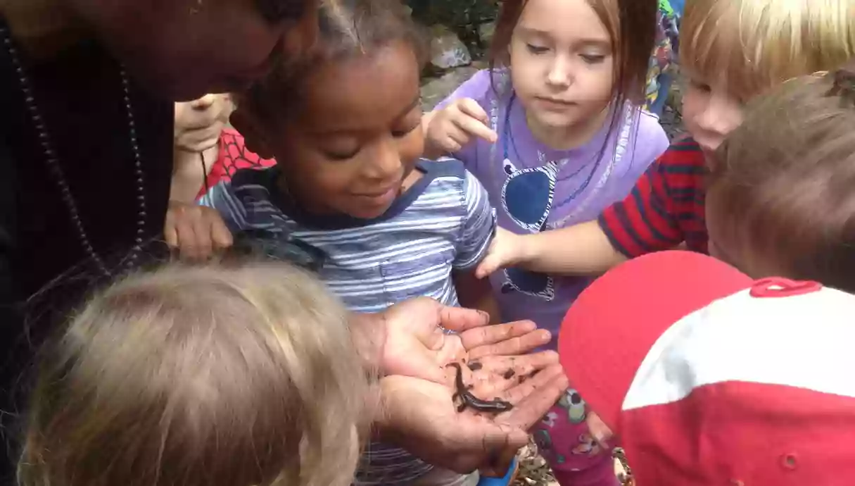 Cooperative Nursery School