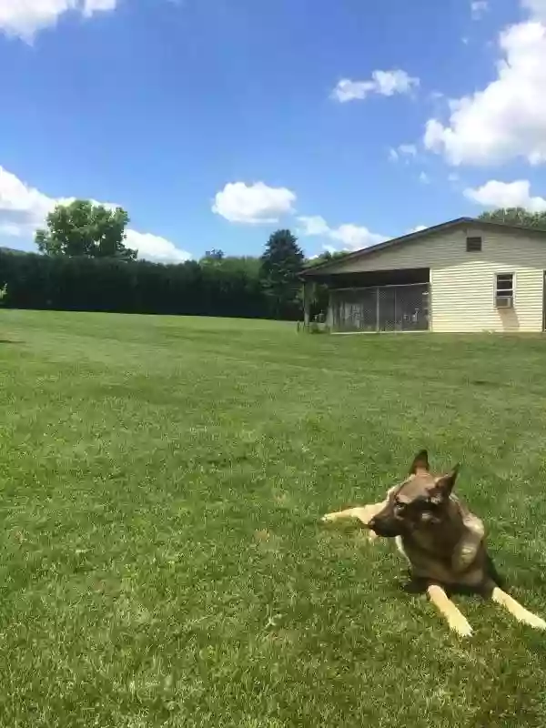 AppleTree Kennels