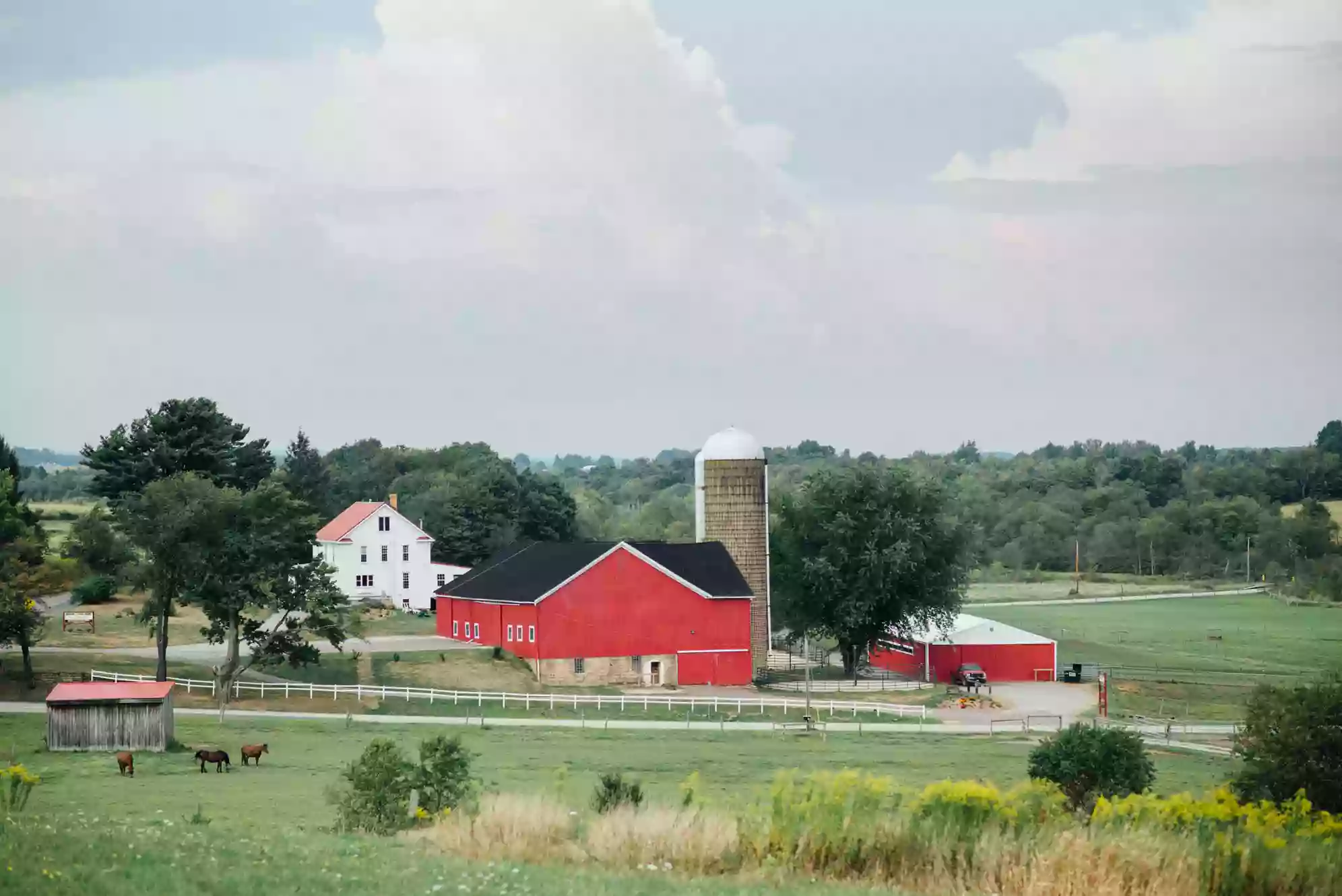 Horizon View Farms